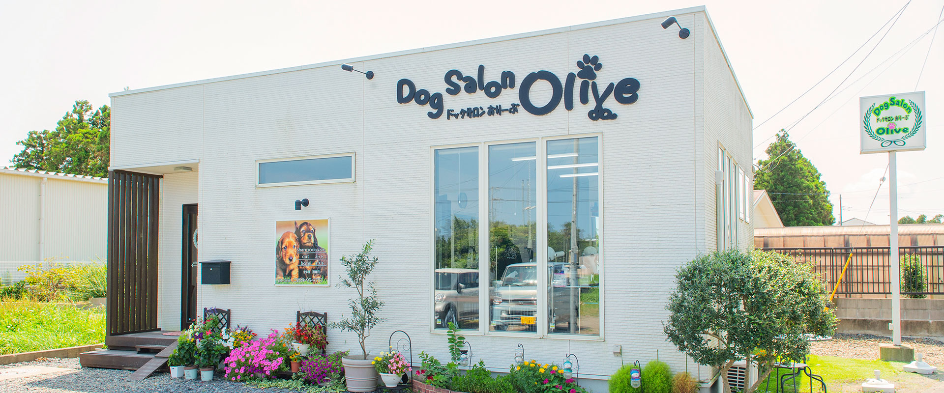 Dog Salon Olive（ドッグサロンオリーブ）