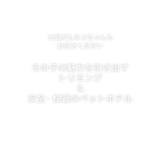 安全・快適のペットホテル